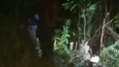 Meluruskan Informasi Di Medsos dan Pemberitaan Media Terkait Warga Diterkam Harimau di KM 82 Segati